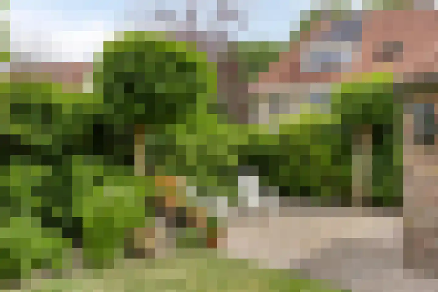 Waterkerslaan 12 Enschede thumbnail 37