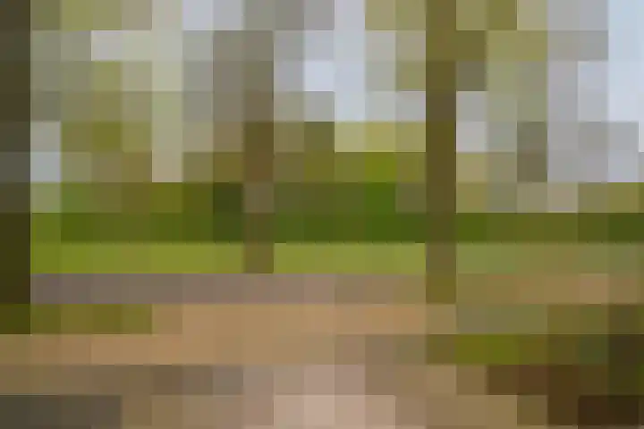 Waterkerslaan 16 Enschede thumbnail 37