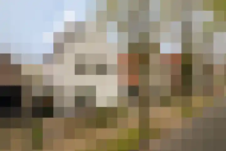Waterkerslaan 16 Enschede thumbnail 5