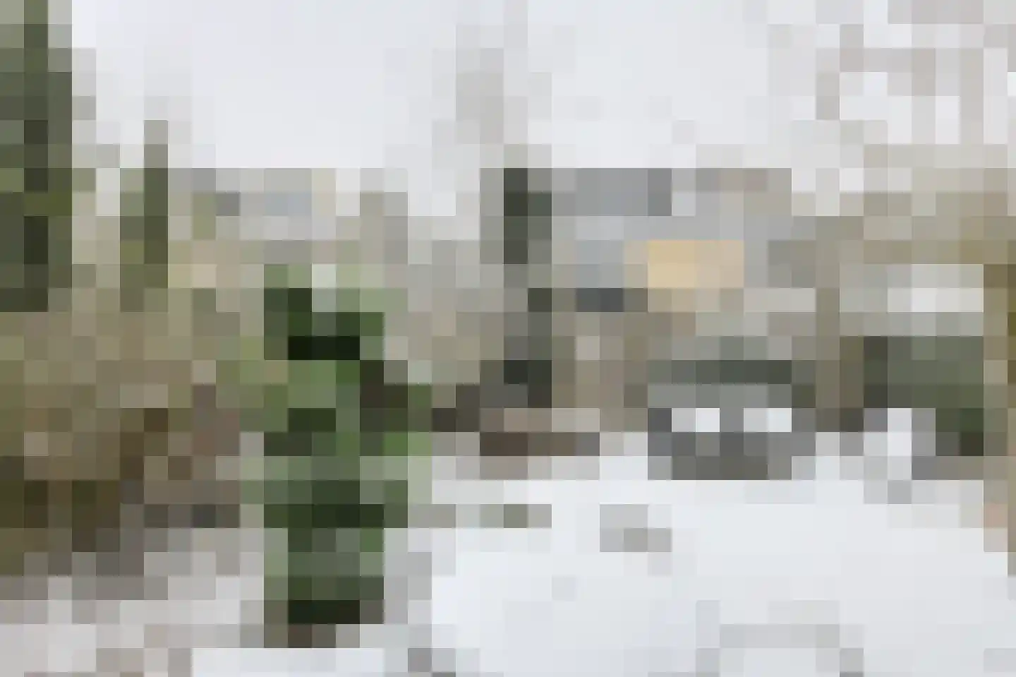 Waterkerslaan 8 Oosterhout thumbnail 33