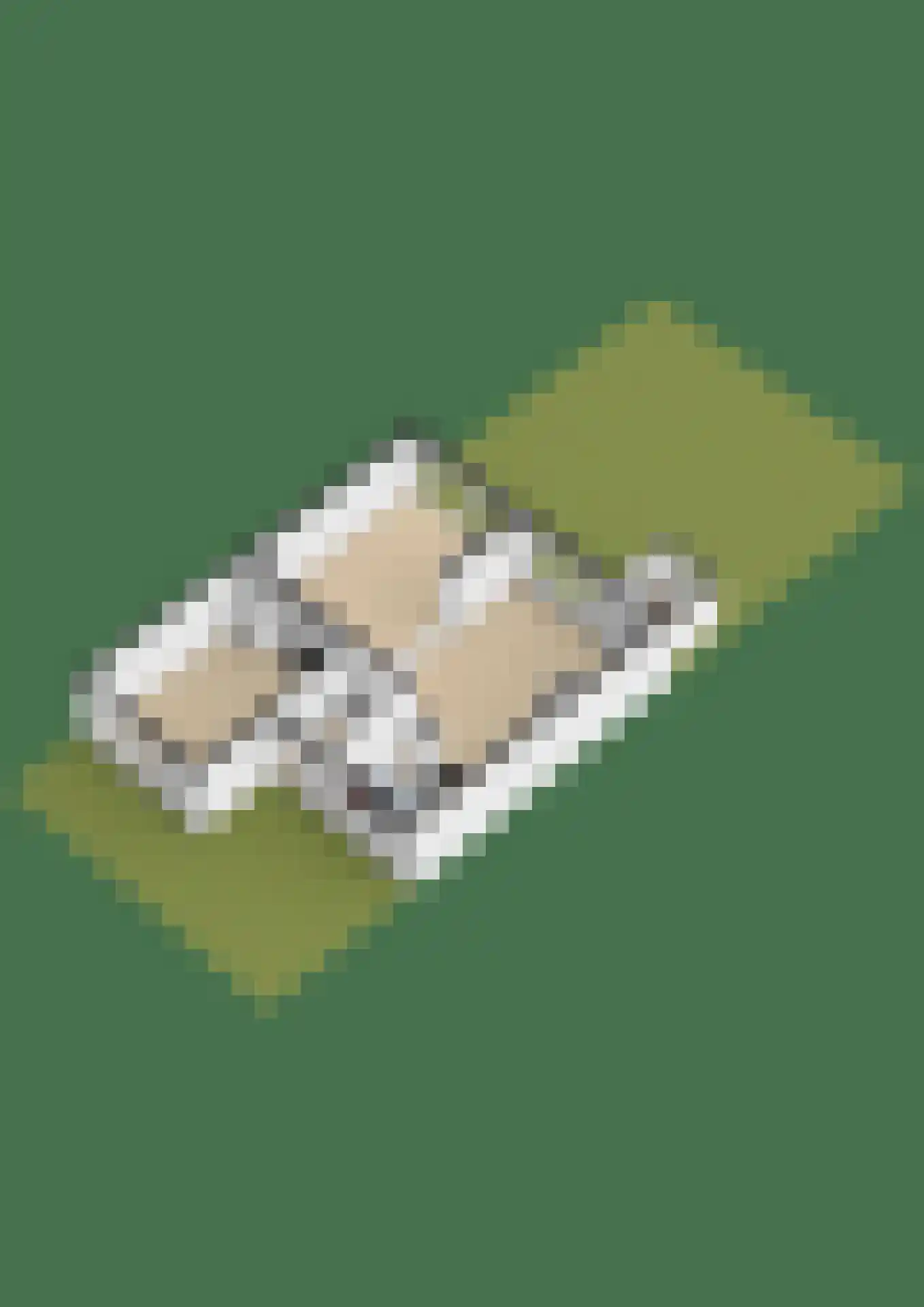 Waterkerslaan 8 Oosterhout thumbnail 43