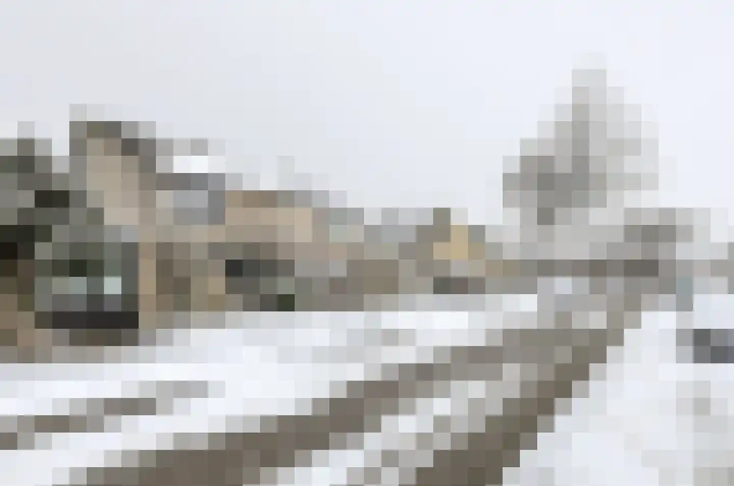 Waterkerslaan 8 Oosterhout thumbnail 7