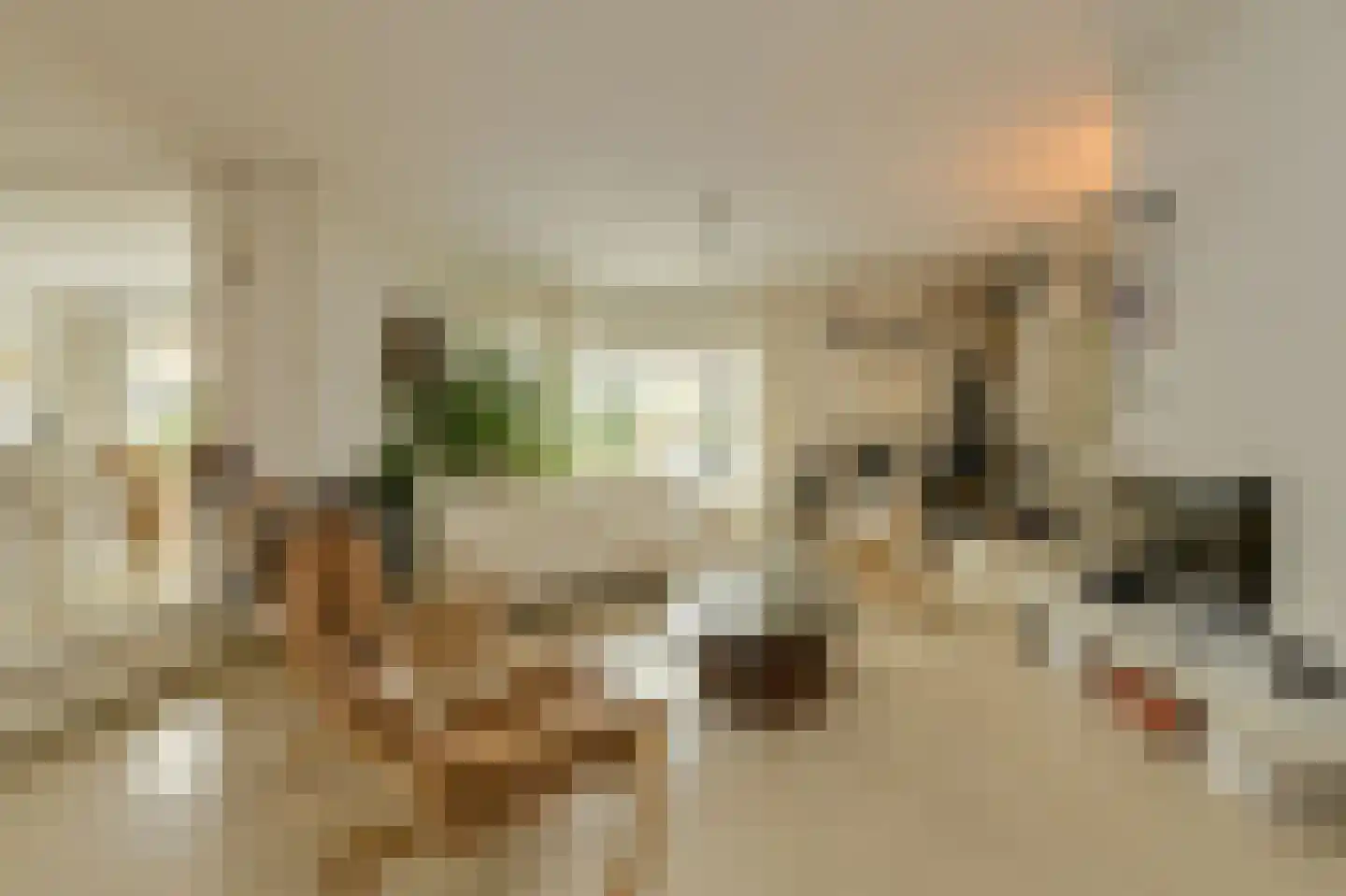 Waterkerslaan 8 Oosterhout thumbnail 8