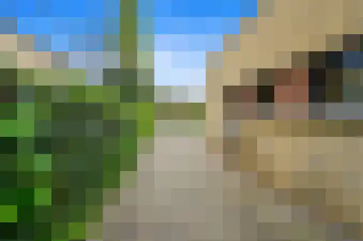 Waterkersvijver 12 Den Haag thumbnail 11