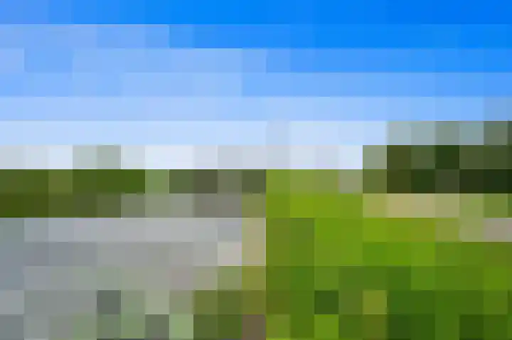 Waterkersvijver 12 Den Haag thumbnail 98