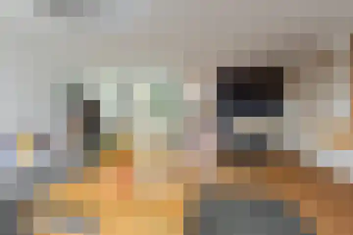 Waterkersweg 256 Amsterdam thumbnail 19