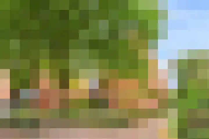 Waterkersweg 256 Amsterdam thumbnail 29
