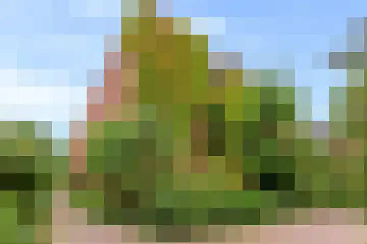 Waterkersweg 256 Amsterdam thumbnail 30