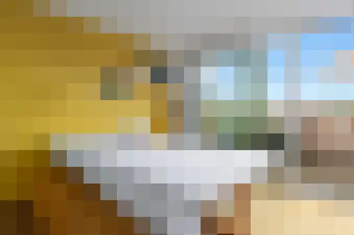 Waterkersweg 256 Amsterdam thumbnail 5