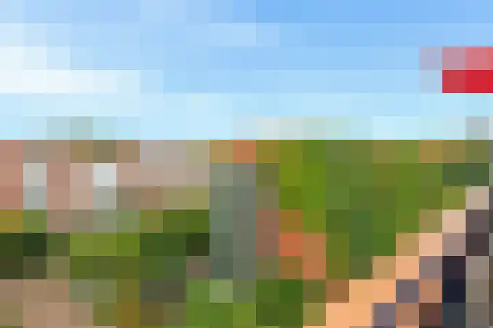 Waterkersweg 256 Amsterdam thumbnail 8