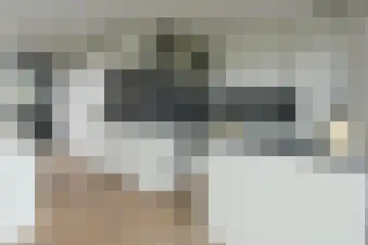 Waterkersweg 258 Amsterdam thumbnail 16
