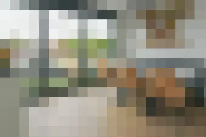 Waterkersweg 258 Amsterdam thumbnail 18