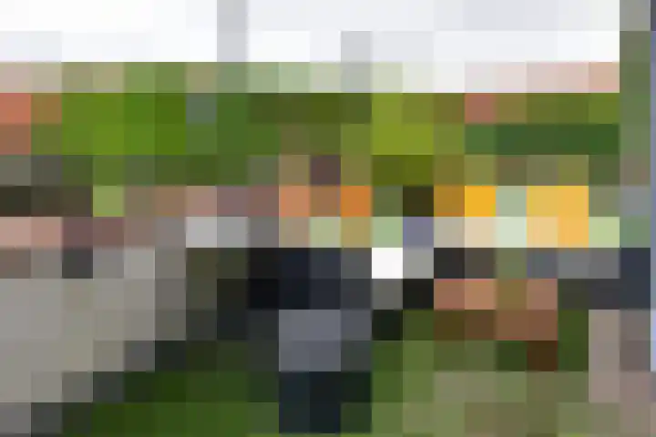 Waterkersweg 258 Amsterdam thumbnail 21