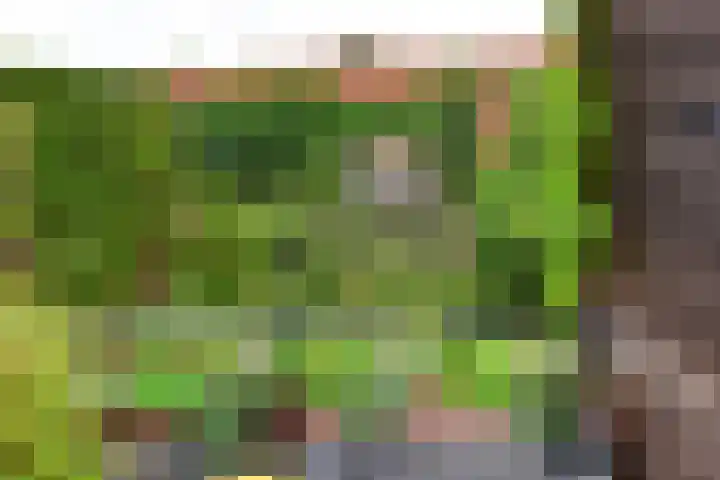 Waterkersweg 258 Amsterdam thumbnail 24