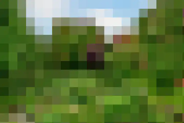 Waterkersweg 258 Amsterdam thumbnail 25