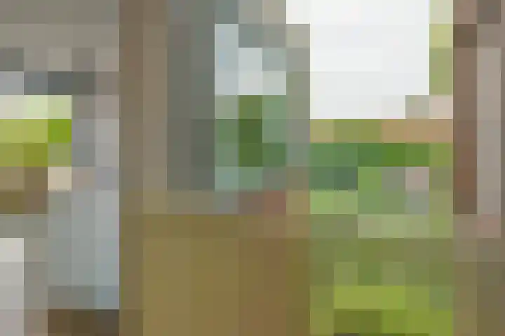 Waterkersweg 258 Amsterdam thumbnail 28
