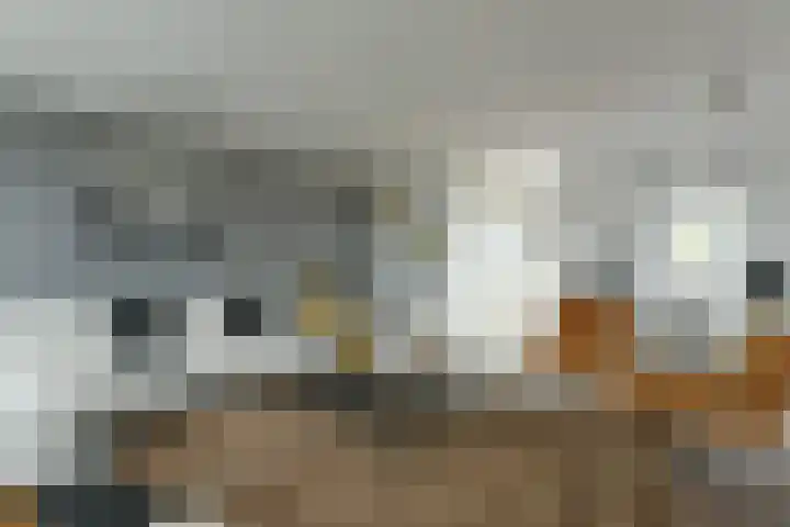 Waterkersweg 258 Amsterdam thumbnail 31