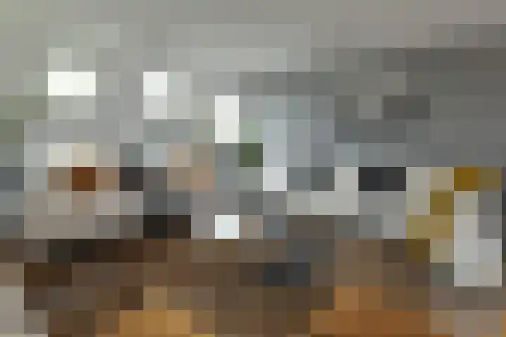 Waterkersweg 258 Amsterdam thumbnail 32