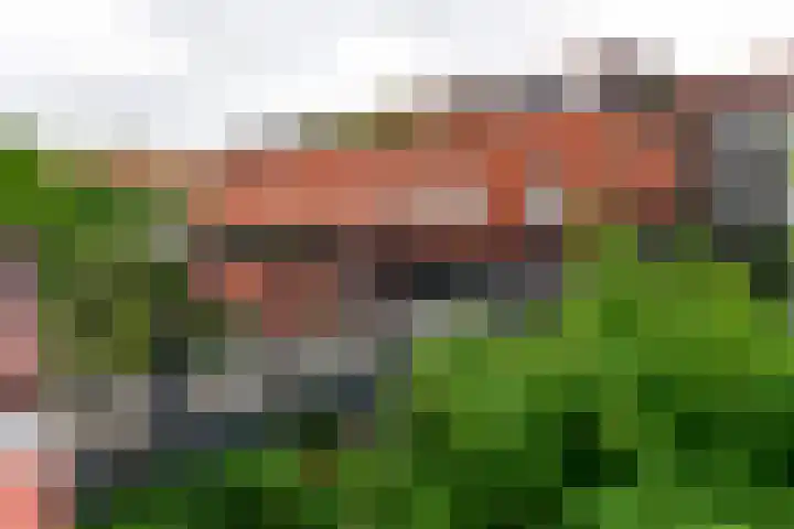 Waterkersweg 258 Amsterdam thumbnail 33