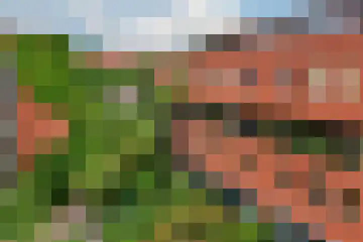Waterkersweg 258 Amsterdam thumbnail 34