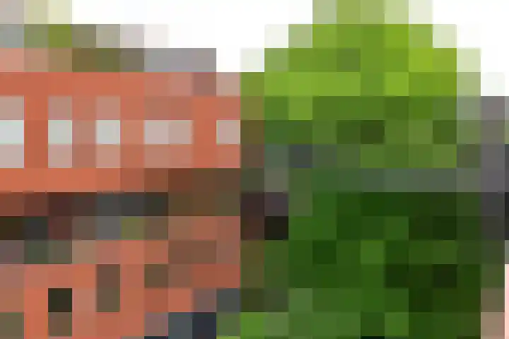 Waterkersweg 258 Amsterdam thumbnail 35