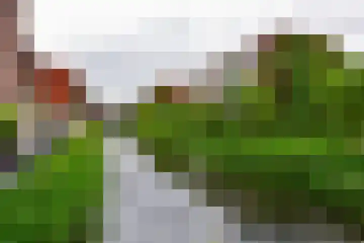 Waterkersweg 258 Amsterdam thumbnail 36