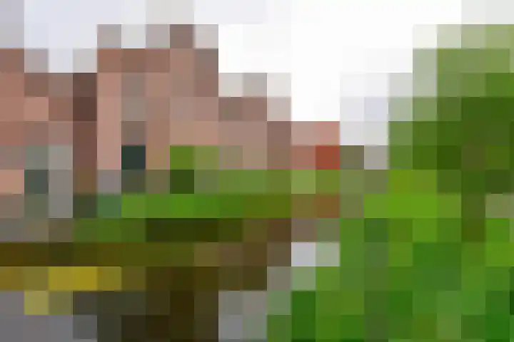 Waterkersweg 258 Amsterdam thumbnail 37