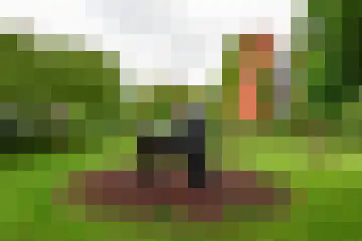 Waterkersweg 258 Amsterdam thumbnail 38