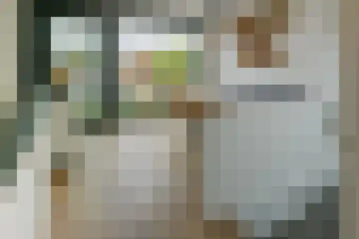 Waterkersweg 258 Amsterdam thumbnail 4
