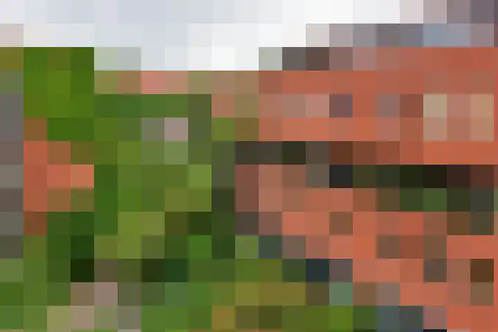 Waterkersweg 258 Amsterdam thumbnail 5