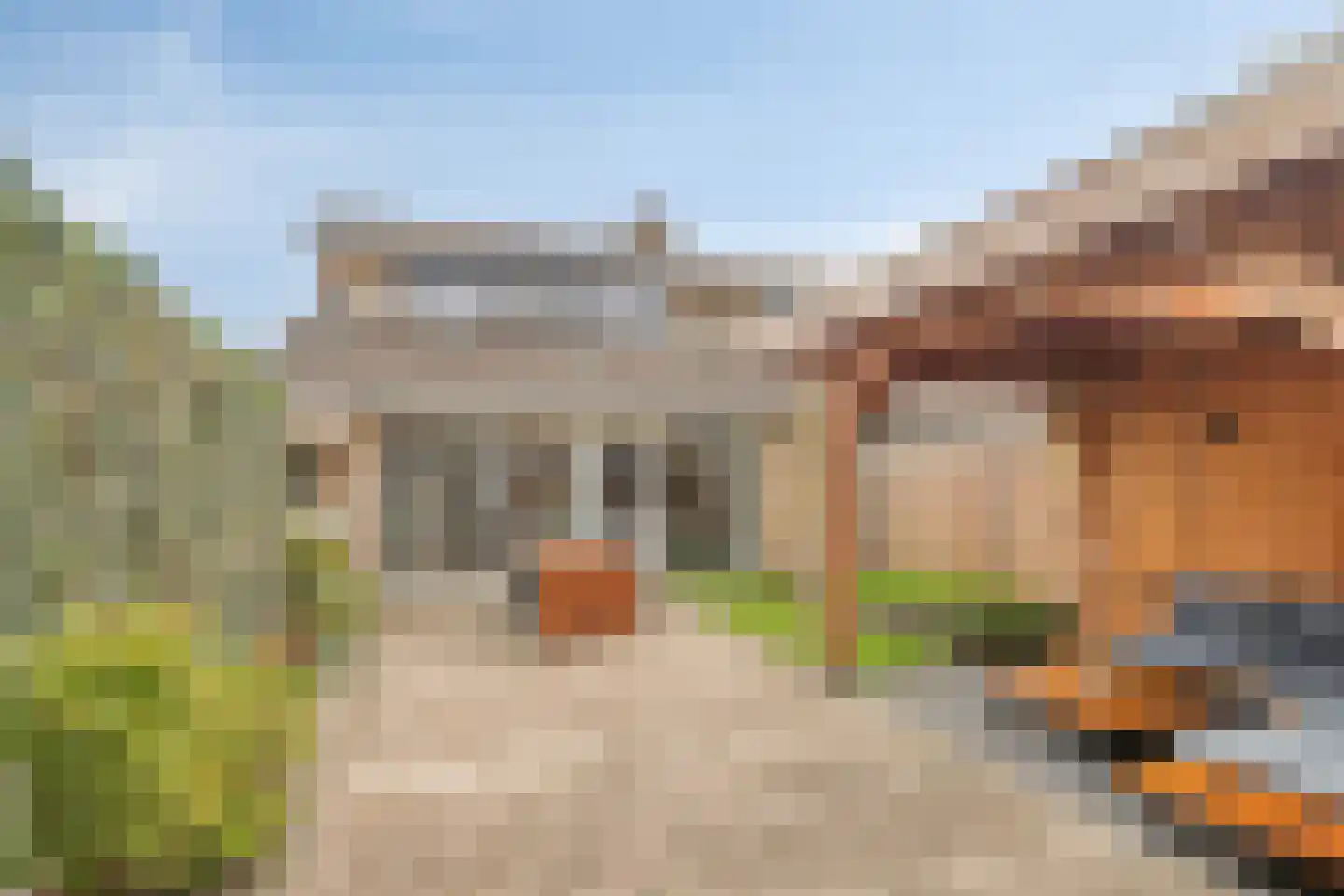 Waterklaver 21 Gouda thumbnail 15
