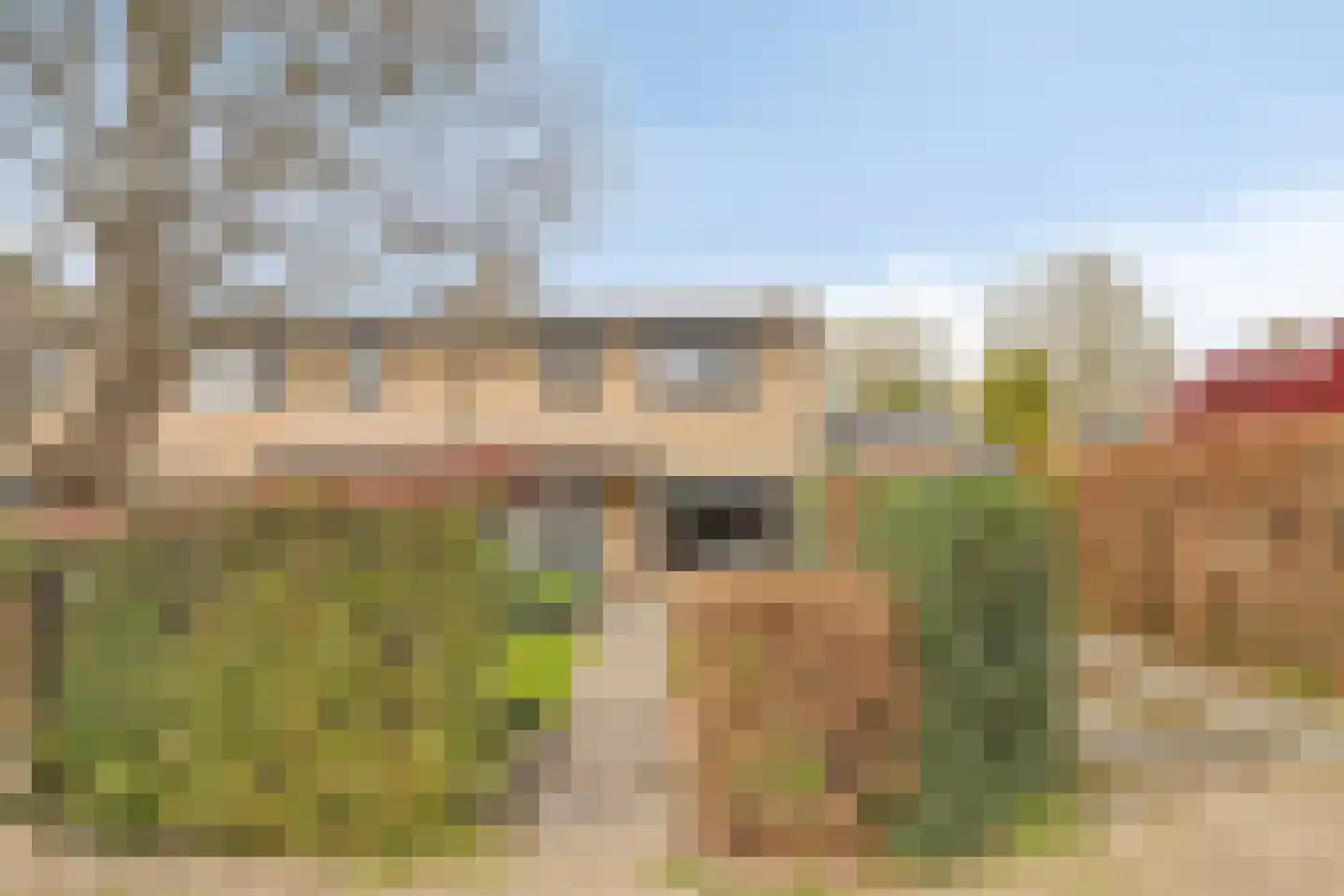 Waterklaver 21 Gouda thumbnail 24