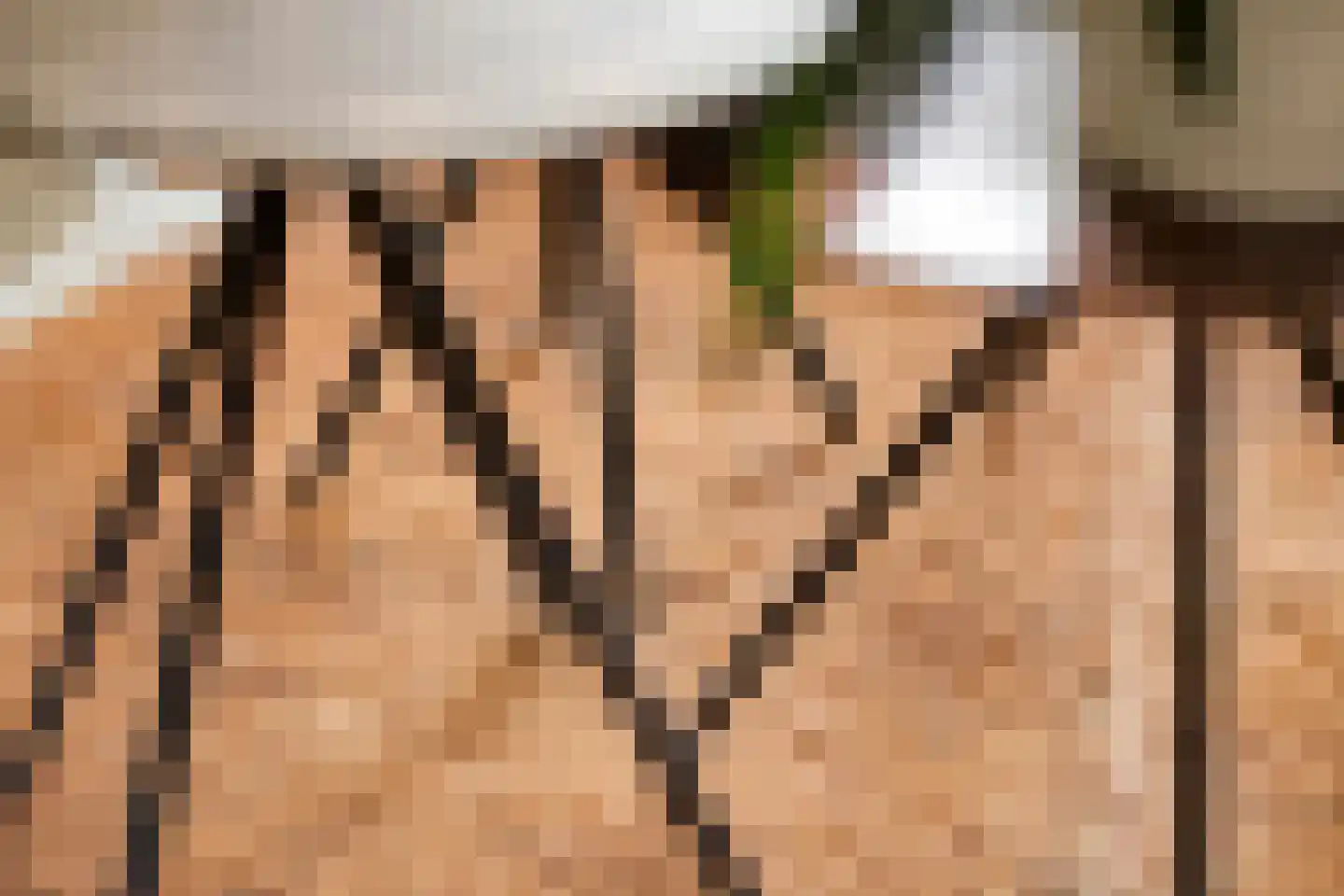Waterklaver 21 Gouda thumbnail 33