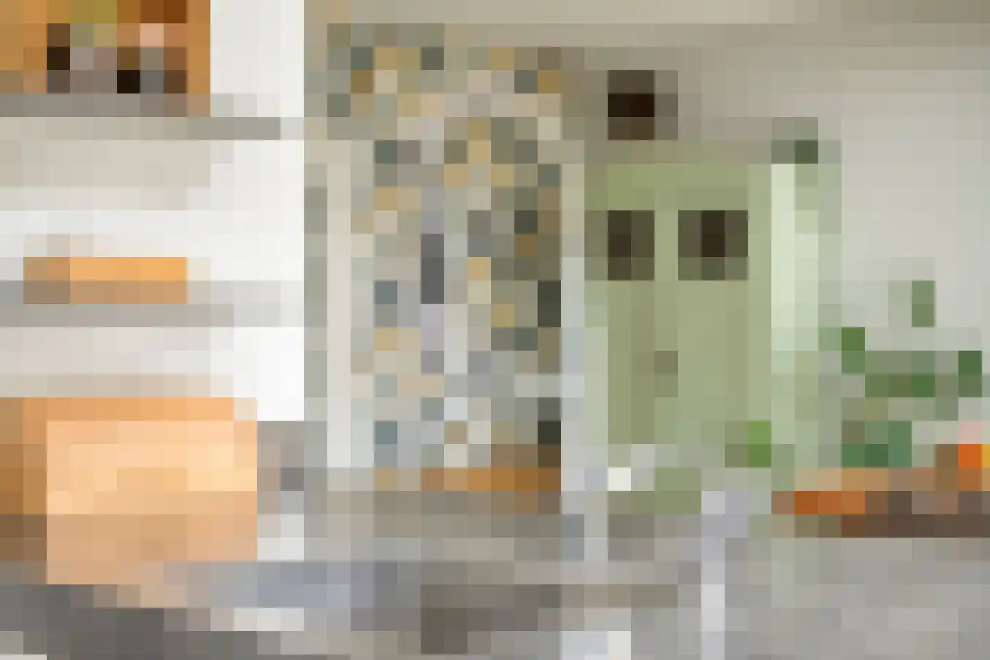 Waterklaver 21 Gouda thumbnail 38
