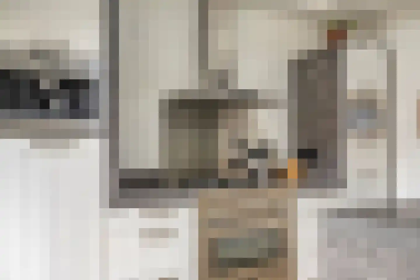 Waterklaver 21 Gouda thumbnail 39