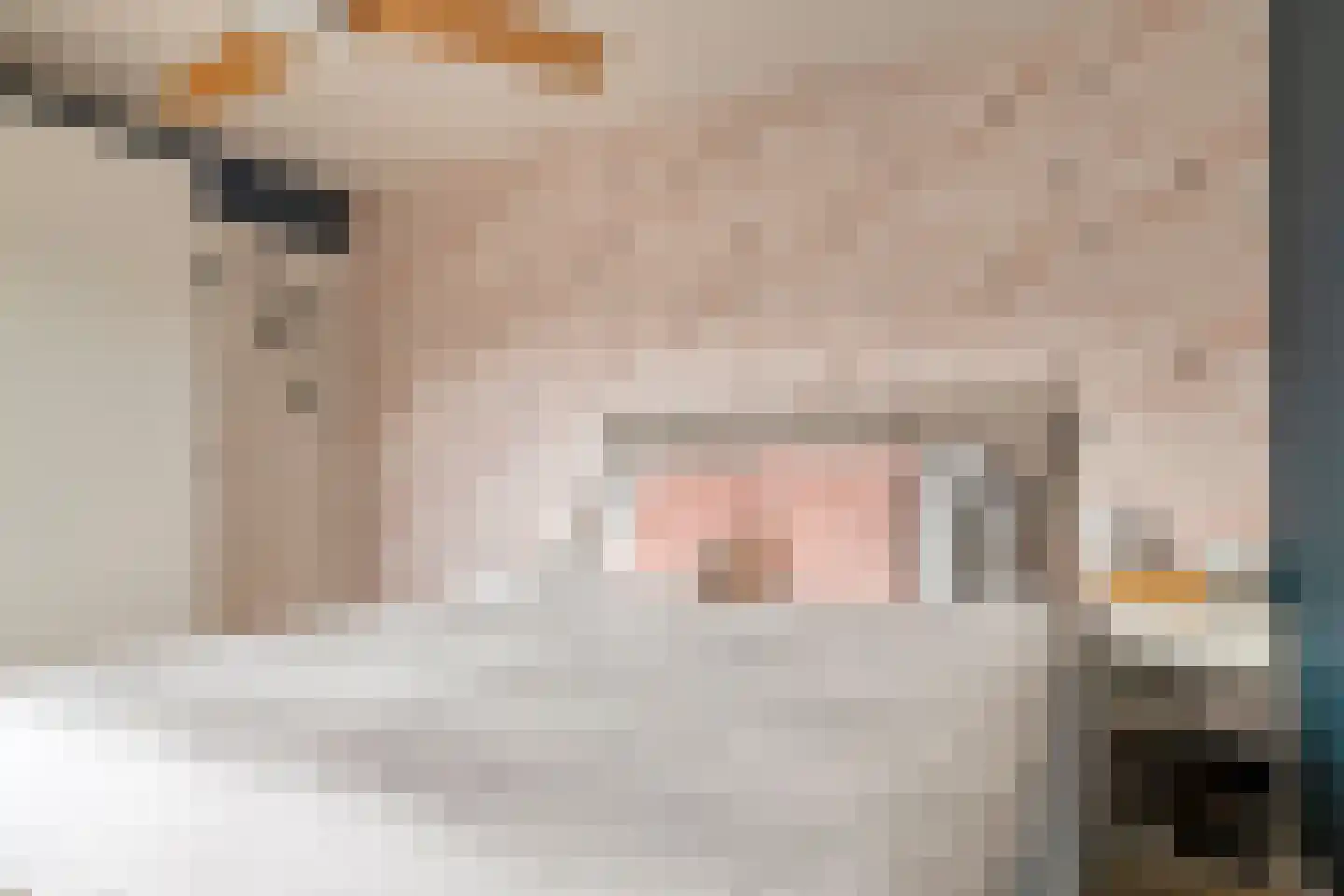 Waterklaver 21 Gouda thumbnail 43