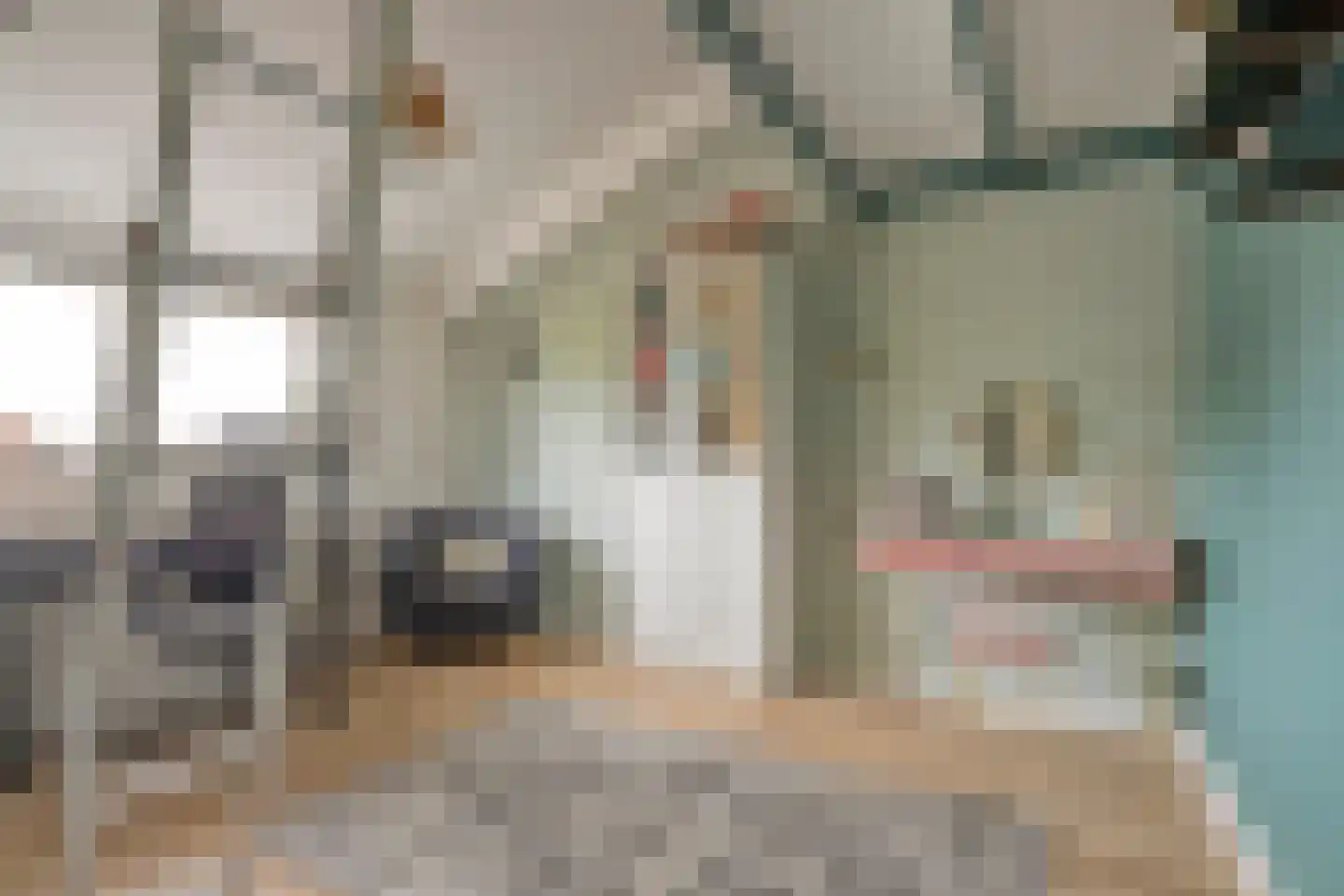Waterklaver 21 Gouda thumbnail 47