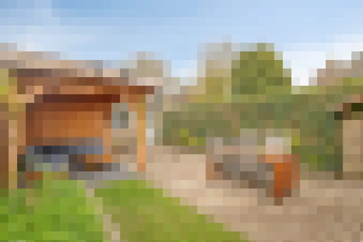 Waterklaver 21 Gouda thumbnail 50