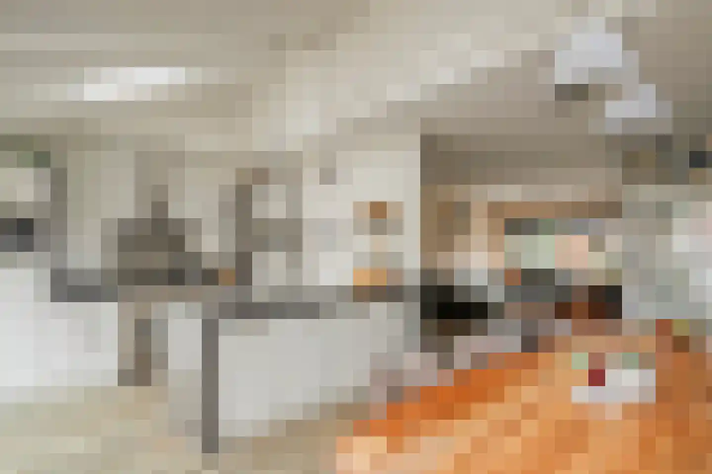 Waterklaver 21 Gouda thumbnail 6