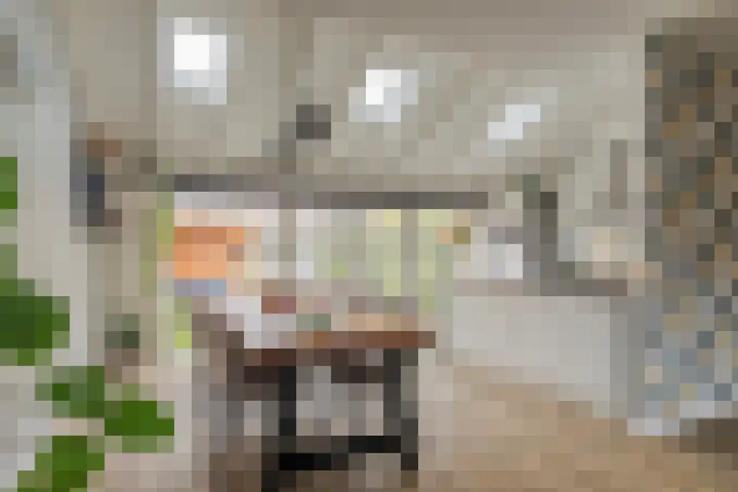 Waterklaver 21 Gouda thumbnail 7