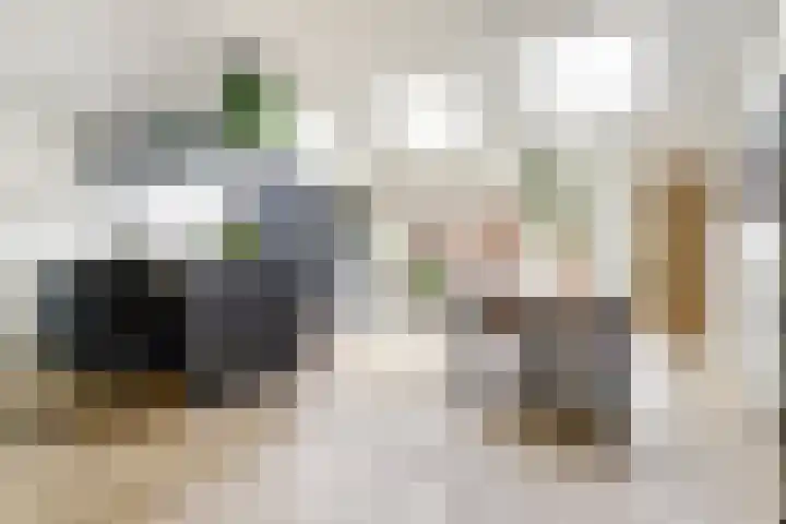 Waterklaver 3 in Gouda