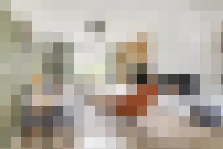 Waterklaver 3 Gouda thumbnail 10