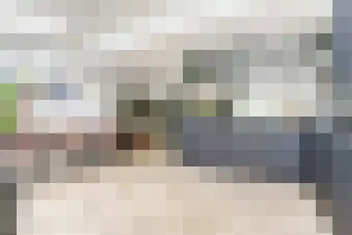 Waterklaver 3 Gouda thumbnail 13