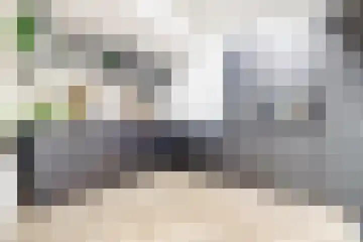Waterklaver 3 Gouda thumbnail 14