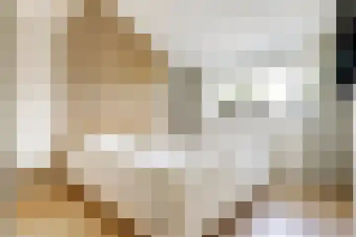 Waterklaver 3 Gouda thumbnail 20