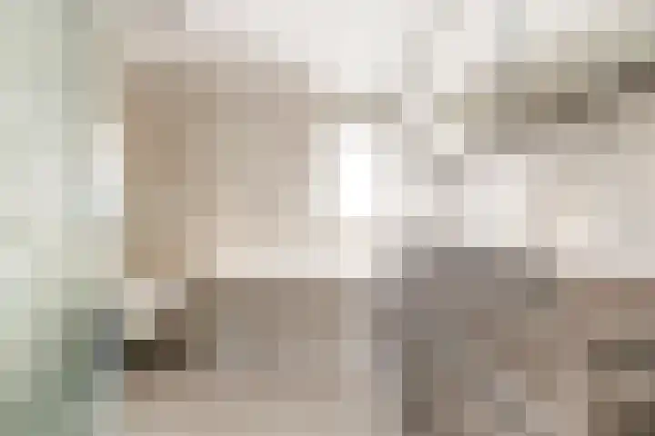 Waterklaver 3 Gouda thumbnail 26