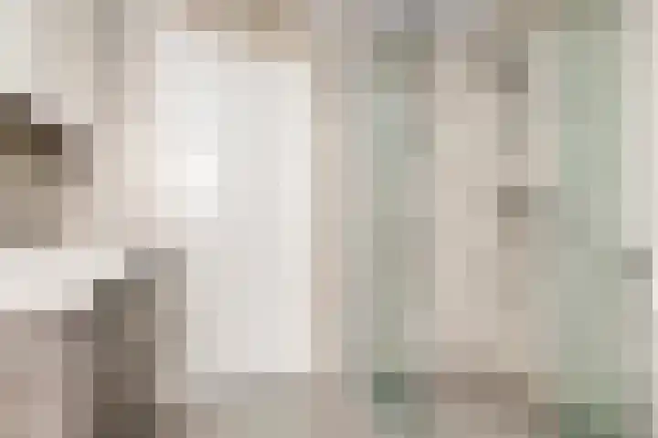 Waterklaver 3 Gouda thumbnail 27