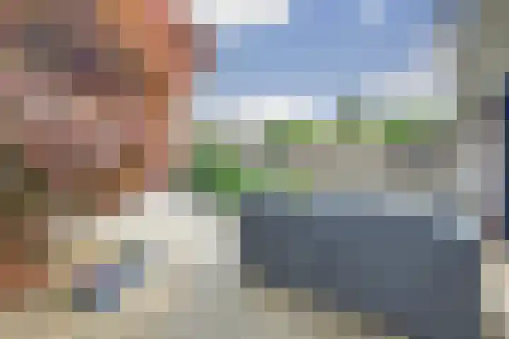 Waterklaver 3 Gouda thumbnail 29