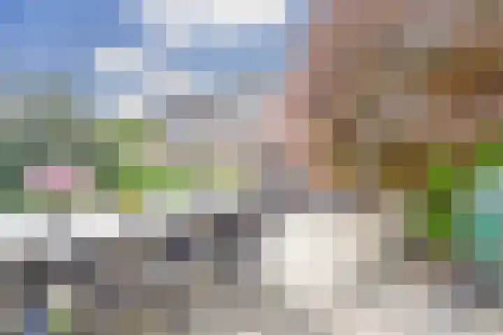 Waterklaver 3 Gouda thumbnail 31