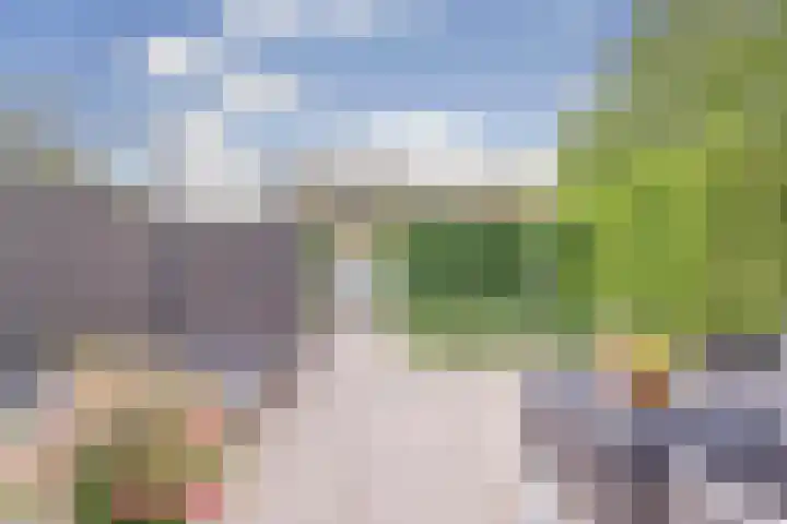Waterklaver 3 Gouda thumbnail 32